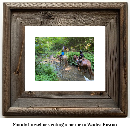 family horseback riding near me in Wailea, Hawaii